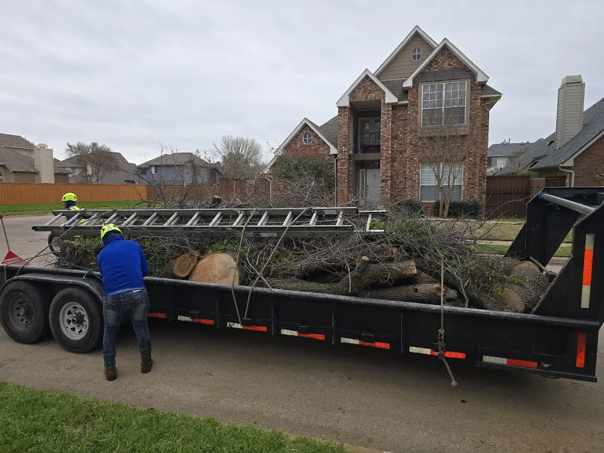 Expert Tree Removal with proper safety equipment in Magnolia Springs